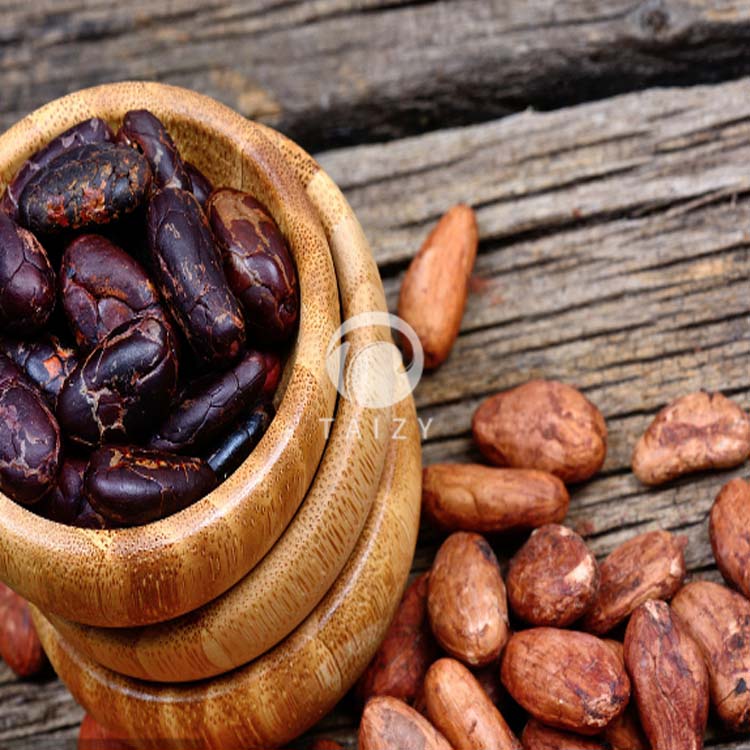 cocoa bean peeling machine (4)