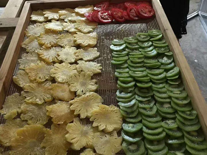fruit drying machine