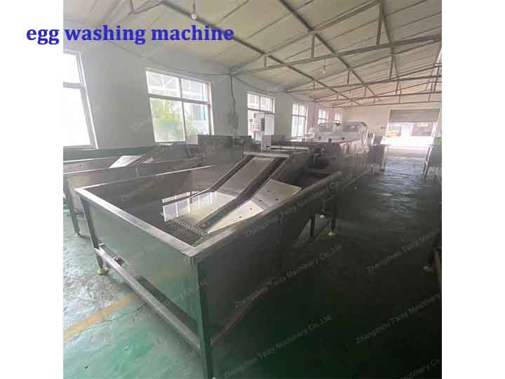 Double row egg washing machine