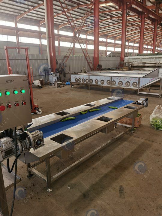 Fruit &amp; vegetable washine line in factory