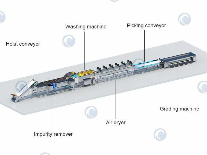 Structure diagram of vegetable &amp; fruit washing drying grading line
