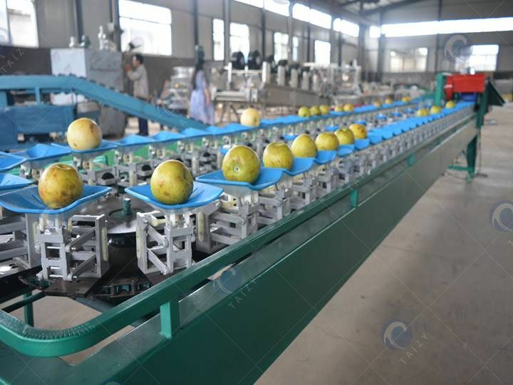automatic vegetable &amp; fruit grader machine