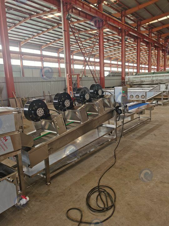vegetable washer machine supplier