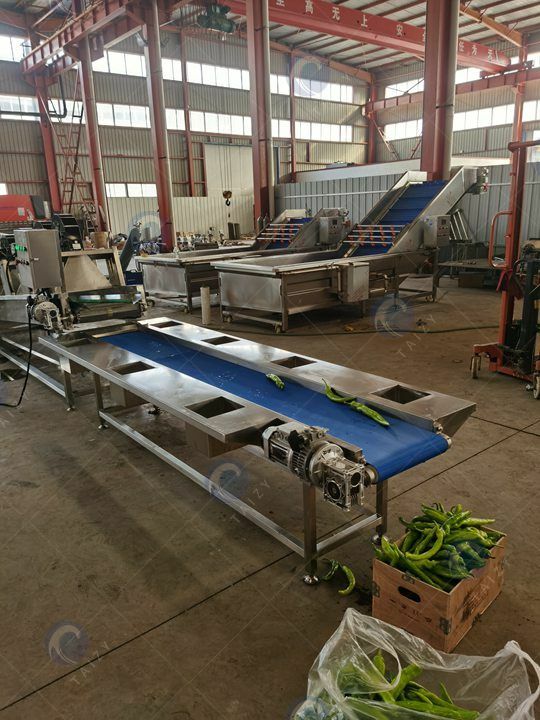 vegetable washing line design